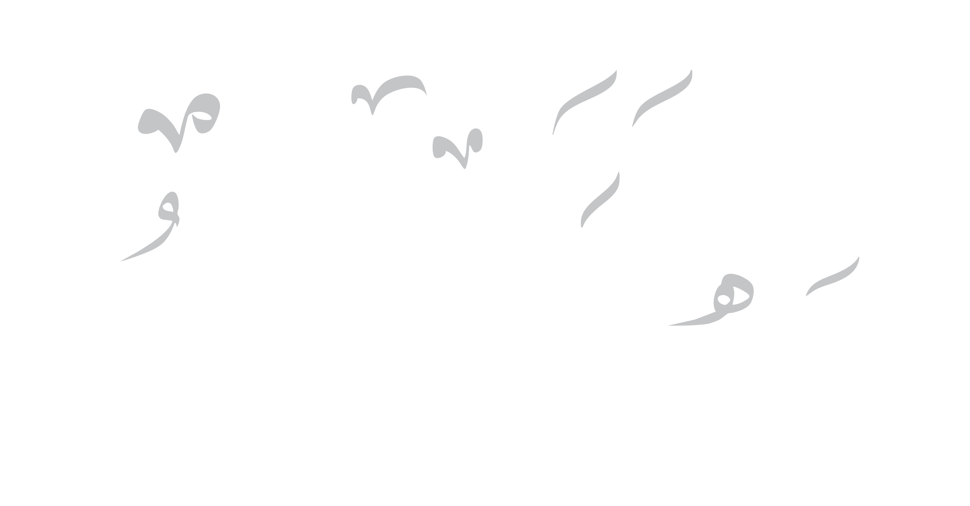 Ehab Aref